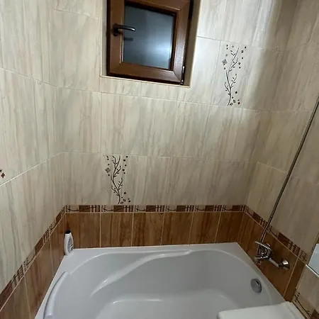 Adg 1 - Apartament Cu 2 * Timisoara